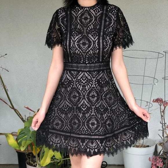 Modcloth Dresses | Bb Dakota Black Lace Dress On The List Modcloth Frill Goth Edgy Witchy | Color: Black/Pink | Size: 0 | Pm-59482811's Closet